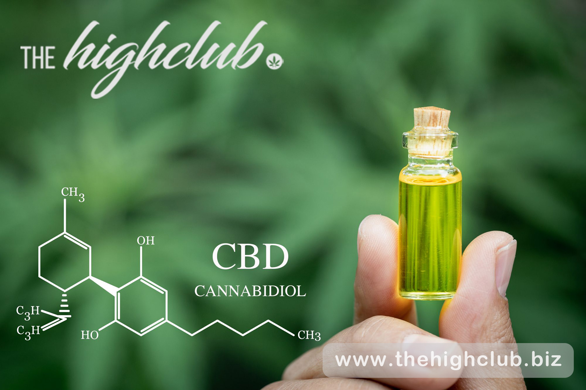 What Is Cannabidiol Cbd — Thehighclub