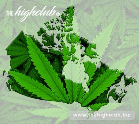 Can I buy affordable medical marijuana in Canada?