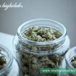 Will marijuana expire? Learn how to store marijuana properly