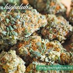 How to find a legal cannabis supplier in Canada?