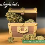 How to find the right strains for you?