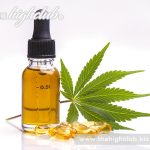 Is cannabis oil the same as cannabis CBD oil?