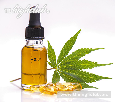 Is cannabis oil the same as cannabis CBD oil?