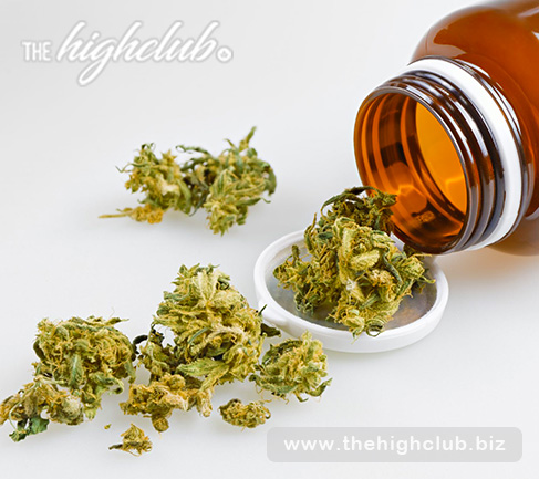 How to obtain medical marijuana in Canada?