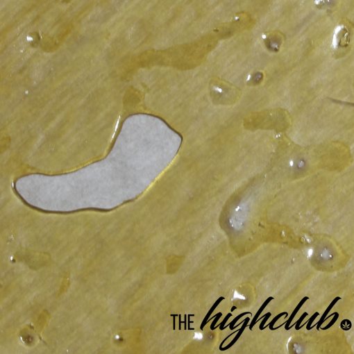 Gorilla Glue #4 Shatter