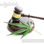 4 reasons to buy legal cannabis