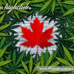 Canadian cannabis supplier