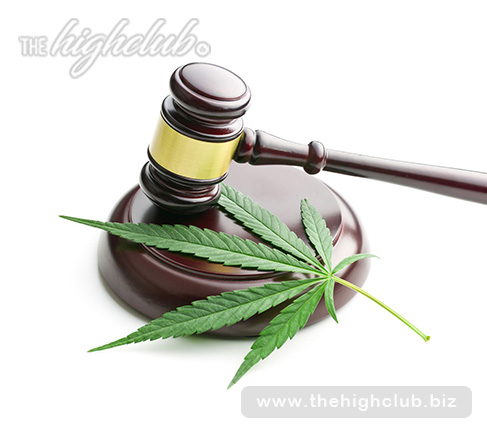 4 reasons to buy legal cannabis