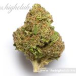 Medical Marijuana | Blue City Diesel