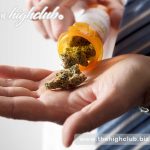 Particular Medical Marijuana Strains | Cherry Pie