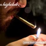 Money Maker strains are great for nighttime use.
