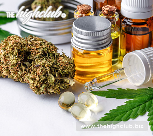 Shishkaberry is an ideal strain for treating conditions such as Multiple Sclerosis.