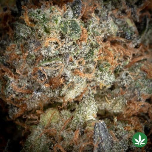 Tom Ford Pink Kush - Image 2