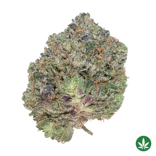 Astro Pink Kush (AAAA+)