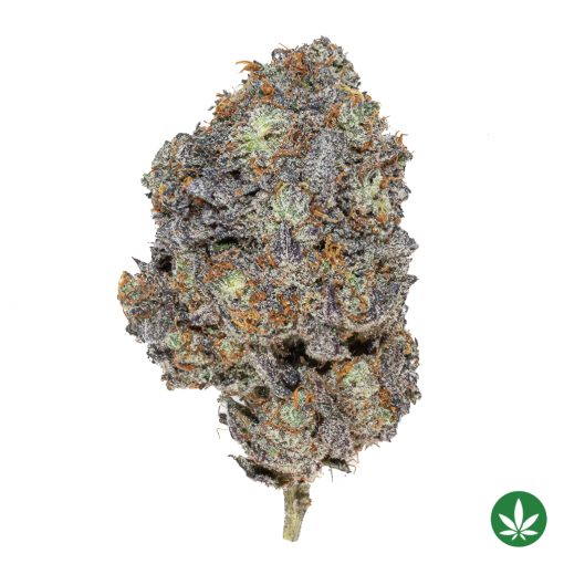 Grape Stomper (AAAA)
