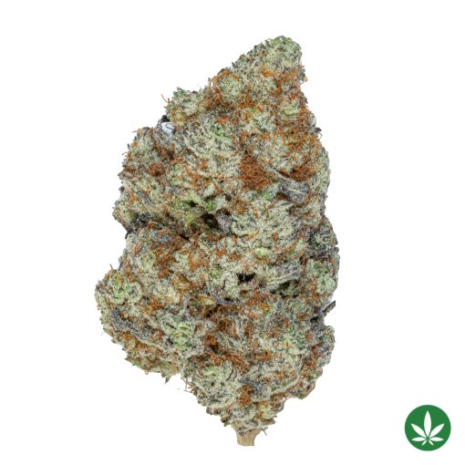 Chimera #3 (AAAA+)
