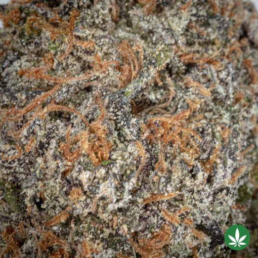 Purple Runtz (AAAA+) - Image 2