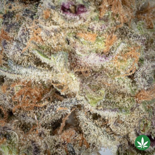 Frosty Mist (AAAA+) - Image 2