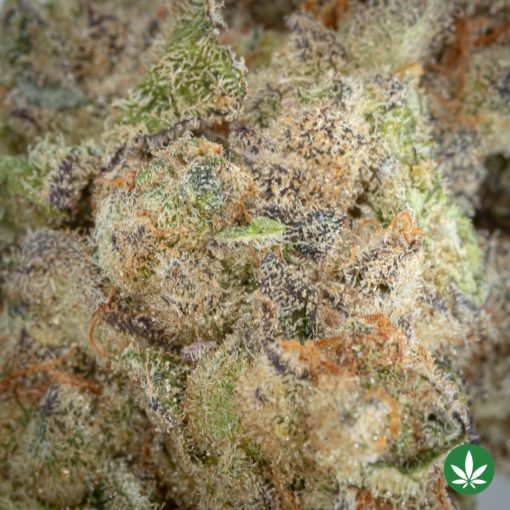 Mango Mints (AAAA+) - Image 2