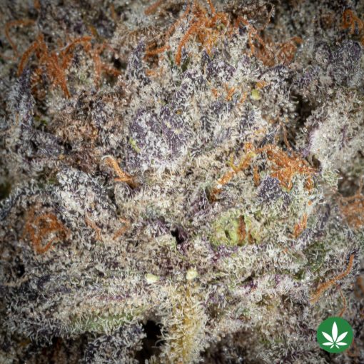Raspberry Diesel (AAAA+) - Image 2