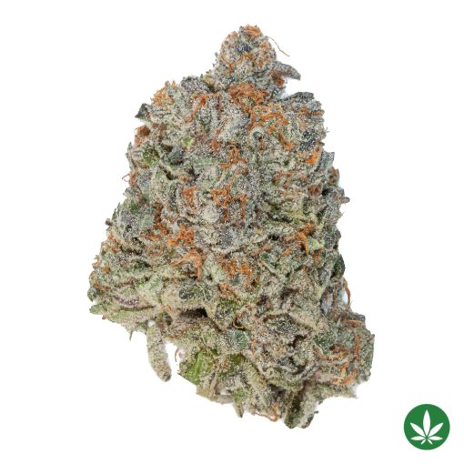 Mint Face Off (AAAA+)