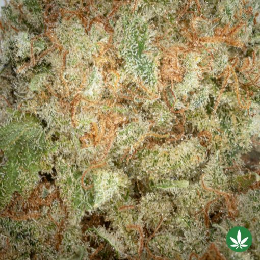 Blueberry Cookies (AAAA+) - Image 2