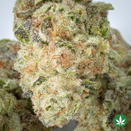 Banana Runtz - Smalls (AAAA+) - Image 2
