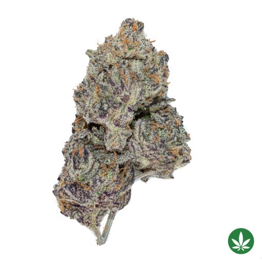 Ice Cream Cake (AAAA+)