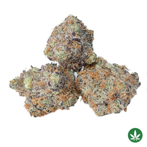 Purple Berry Skunk - Smalls (AAAA+)