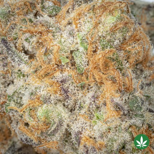 Slurricane - Smalls (AAAA+) - Image 2