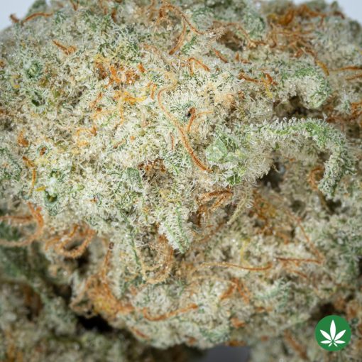 Sugar Cookies - Smalls (AAAA+) - Image 2