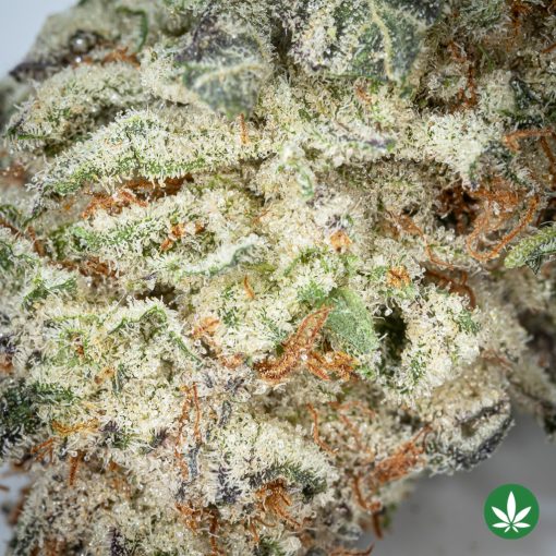 Rainbow Sherbert (AAAA+) - Smalls Only - Image 2