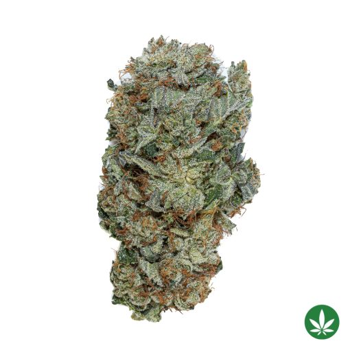 El Chapo OG LSO (AAAA+)