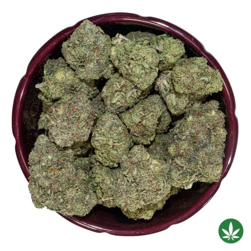 Gasmask (AAAA+) - Image 3
