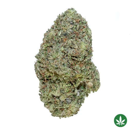 Gasmask (AAAA+)