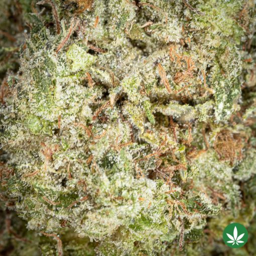 Gasmask (AAAA+) - Image 2