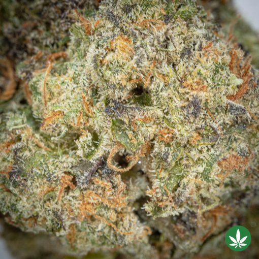 AK-47 (AAA+) - Image 2