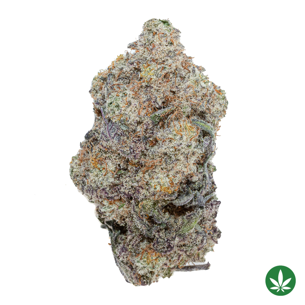 MAC #10 (AAAA+)