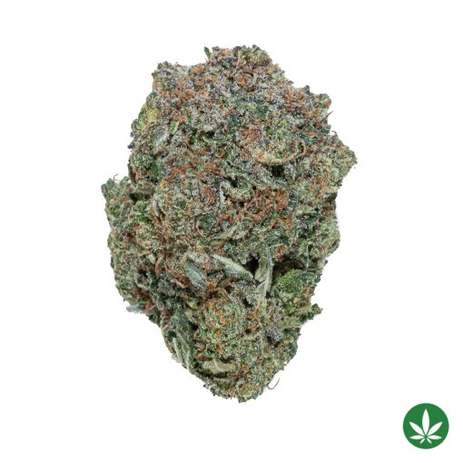 Pink Tuna (AAAA+)