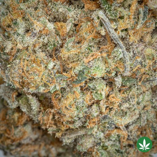 Cherry Rozay (AAAA+) - Image 2