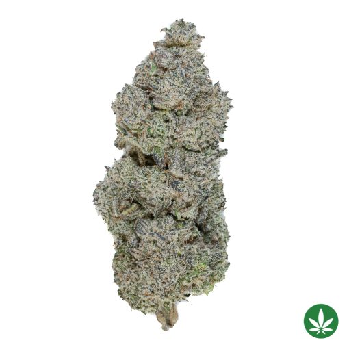 Khalifa Mints (AAAA+)