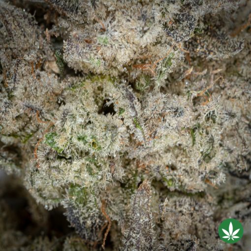 Khalifa Mints (AAAA+) - Image 2
