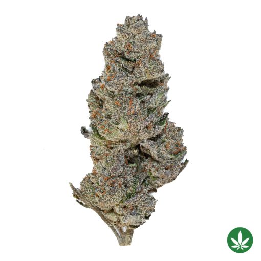 Triangle Mints (AAAA+)