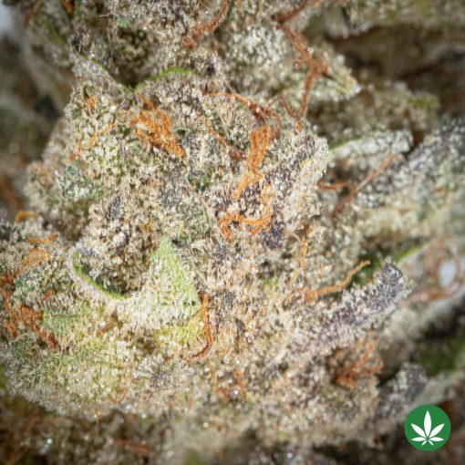 Triangle Mints (AAAA+) - Image 2
