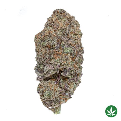 Super Buff Cherry (AAAA+)