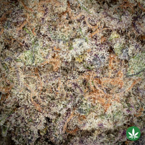 Super Buff Cherry (AAAA+) - Image 2