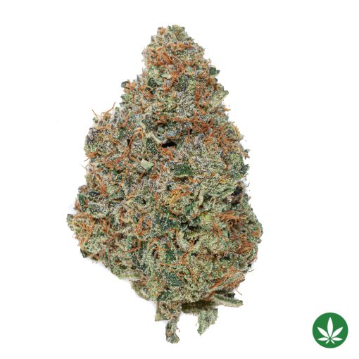 Slurricane (AAAA+)