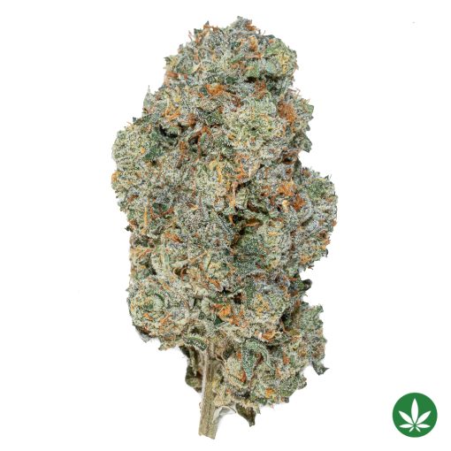 Sour Best Shit Ever (AAAA+)