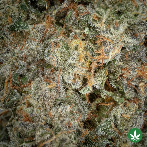 Sour Best Shit Ever (AAAA+) - Image 2