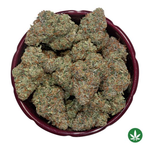 Slurricane (AAAA+) - Image 3